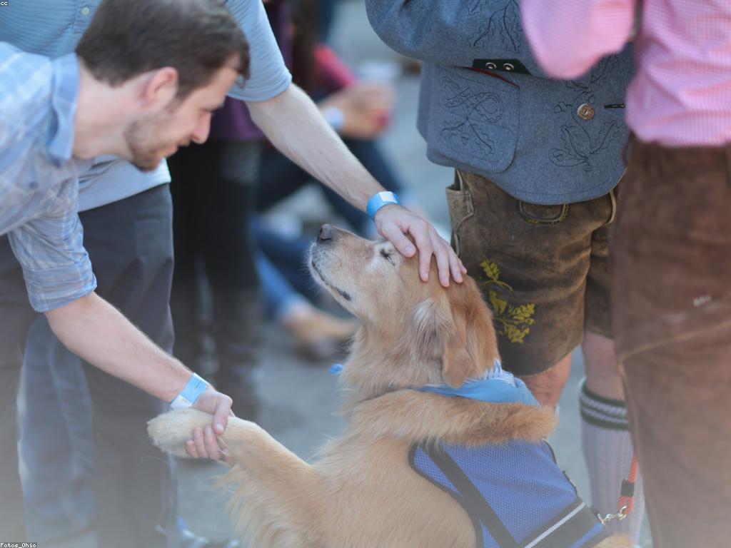 ការប្រកួតលេងសប្បាយ: ការចូលរួម និងអត្ថប្រយោជន៍ដែលអាចទទួលបាន