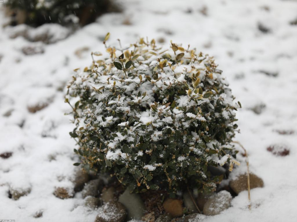 ការប្រកួតលេងសប្បាយ: របៀបបង្កើតបទពិសោធន៍ដែលអស្ចារ្យ