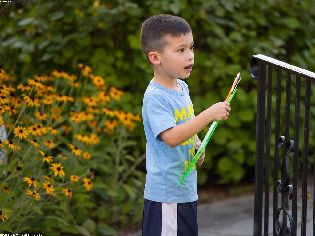 ការប្រកួតលេងសប្បាយ និងអត្ថប្រយោជន៍សម្រាប់សង្គម